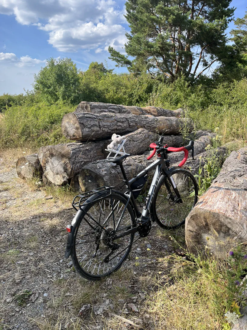 Baumstapel, daneben ein Fahrrad und der kleine Elefant sitzt auf dem Sattel, auf dem Liegestuhl.