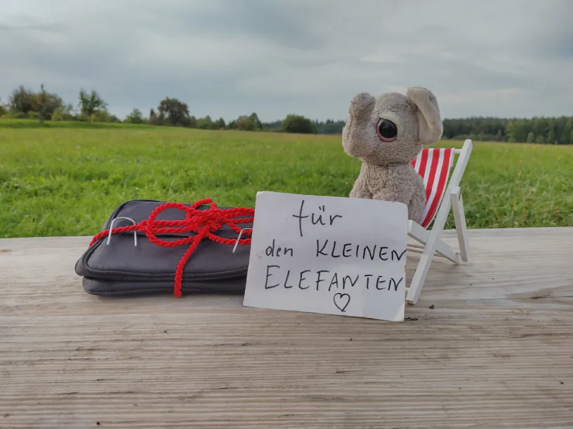Der kleine Elefant sitzt auf dem Liegestuhl, links von ihm liegt das verpackte Geschenk und davor ein Zettel mit der Aufschrift 'Für den kleinen Elefanten'.