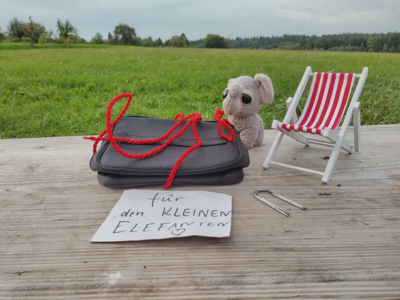 Kleiner Elefant neben dem Geschenk, an dem schon die Schnur geöffnet ist.