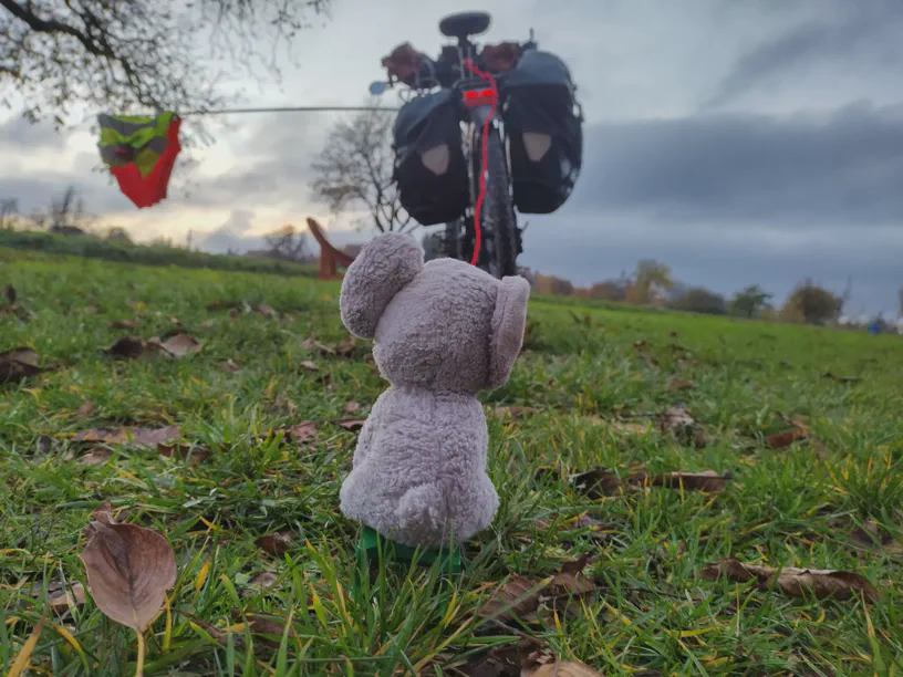 Kleiner Elefant sitzt auf dem grünen Schlitten auf der Wiese und die Schnur führt zum dahinter stehenden Fahrrad vom Radfahrer.