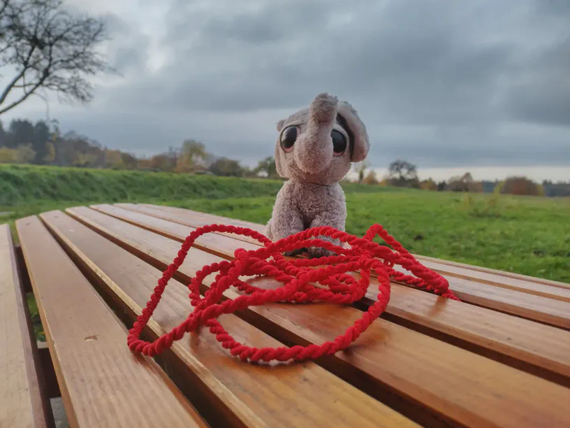 Kleiner Elefant sitzt vor einem roten Seil.