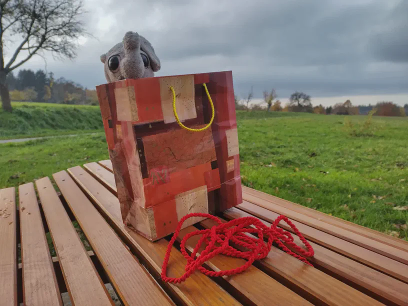 Kleiner Elefant sitzt in der Geschenketüte.