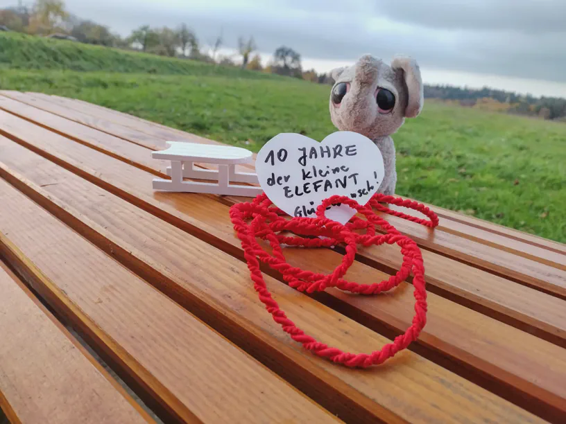 Kleiner Elefant sitzt neben einem ausgepackten Schlitten.