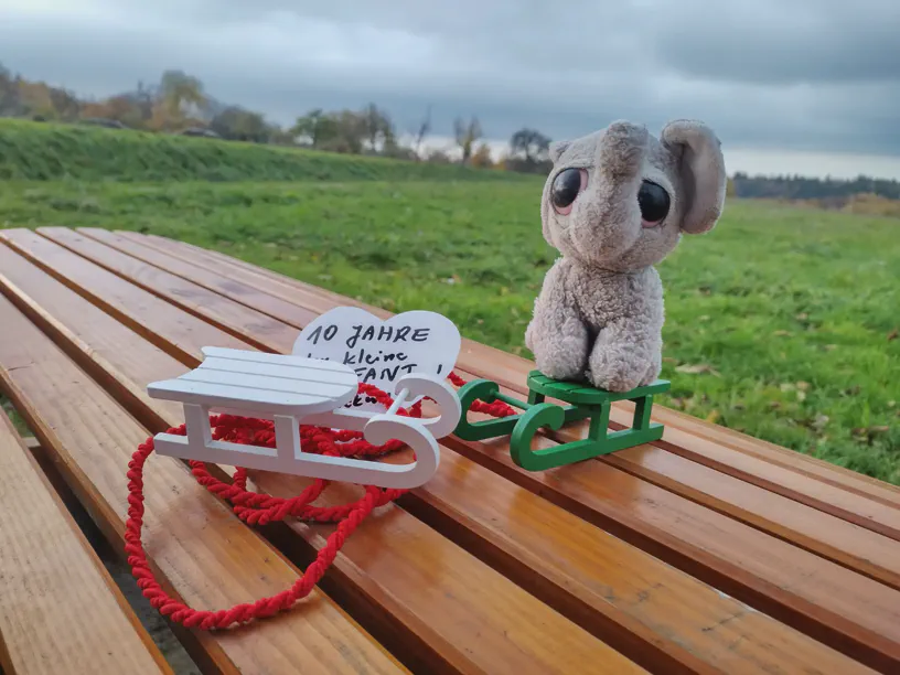 Kleiner Elefant sitzt auf dem grünen Schlitten drauf.