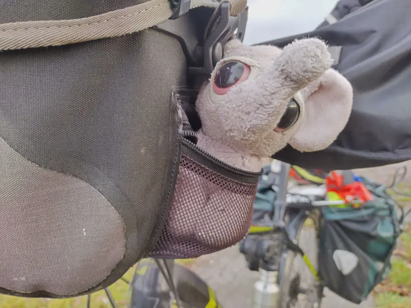 Kagube sitzt in der Lenkertasche wieder links. Dahinter der Rest vom Fahrrad zu sehen. Von vorne nach Hinten zu den Gespäckträgertaschen fotografiert.