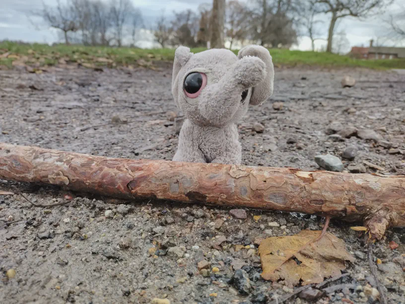 Kagube sitzt auf dem Boden hinter einem Stöckchen, das eine schöne Maserung der Rinde hat. Dahinter schöne Landschaft.