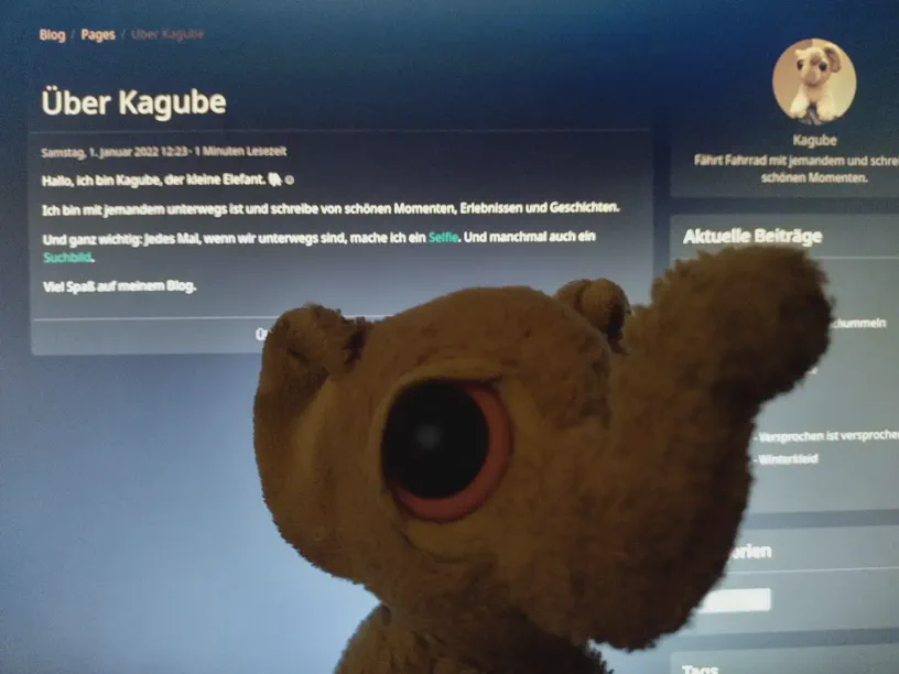 Der kleine Elefant vor einem Computerbildschirm, auf dem der Blog im Browser angezeigt wird.