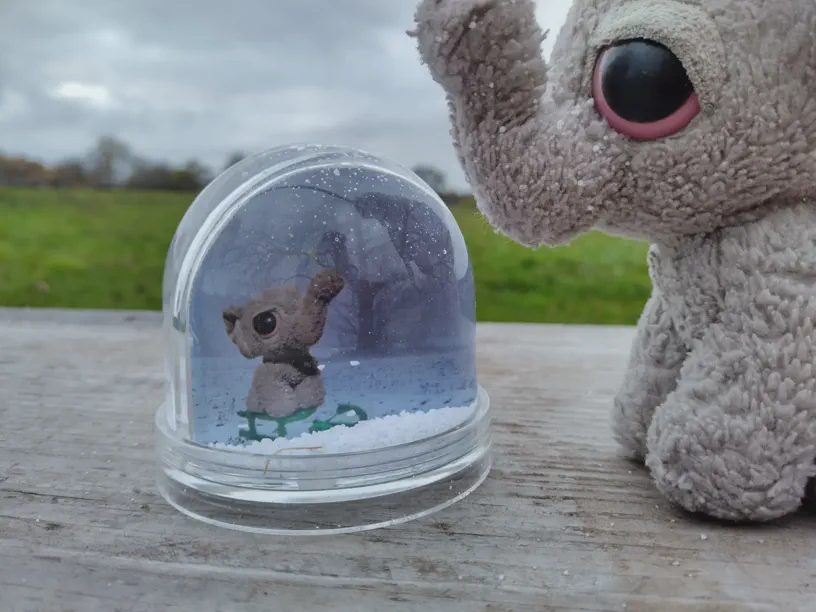 Kagube schaut in die Schneekugel, in der es nicht mehr schneit und in der man jetzt deutlich den kleinen Elefanten erkennen kann, wie er in einer Schneelandschaft auf seinem Schlitten sitzt.