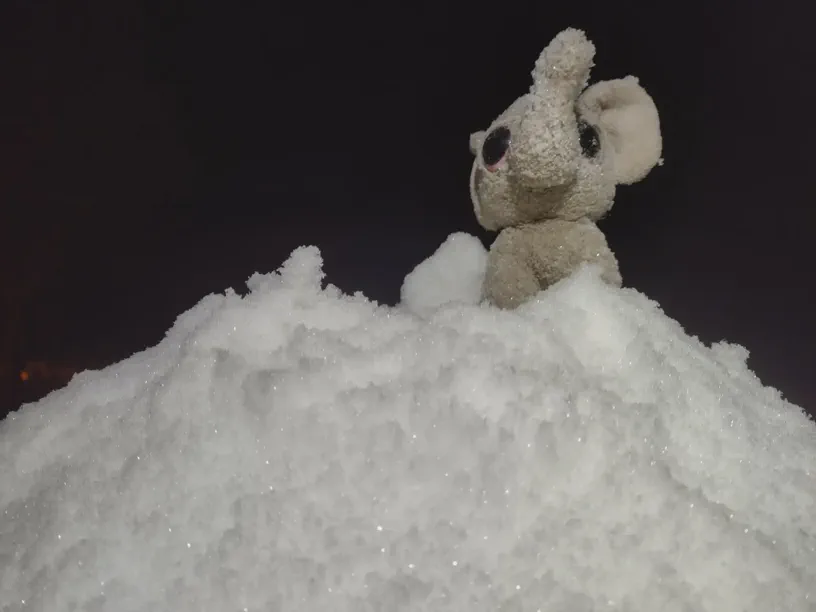 Kagube sitzt auf einem Berg aus Schnee. Im Hintergrund die Nacht.