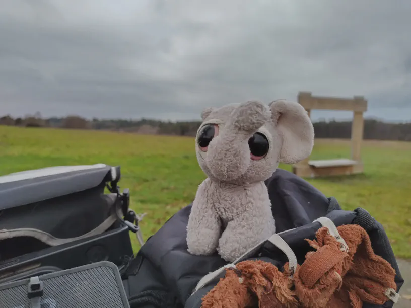 Kagube sitzt auf dem Lenkerstulpen. Im Hintergrund der Fotorahmen, Wiese und Himmel mit Wolken.