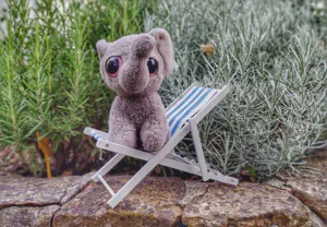 Kagube sitzt in einem kleinen Liegestuhl auf einer Mauer mit Blumen im Hintergrund.